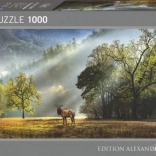 Puzzle 1000 pezzi – saluto del mattino