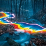 Puzzle 1000 pezzi Bosco Magico, Sentiero Arcobaleno