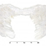 Ali d'angelo per costume