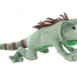 Iguana in Peluche