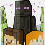 Bottiglia per bere Minecraft 560 ml