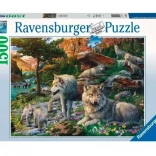 Puzzle 1500 pezzi Lupi primaverili
