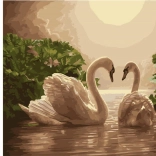 pittura diamantata Canto del cigno 30 × 40 cm