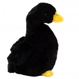 Oca Nera in Peluche