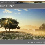 Puzzle 1000 pezzi Effetti Luminosi