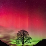 Heye Puzzle La Forza della Natura: Sycamore Gap 1000 Pezzi
