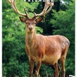 Calendario da parete Caccia 2026