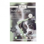 Dipingi per Numeri Cane