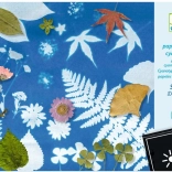 Djeco set di carte fotosensibili