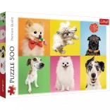 Puzzle Collage di Cani 500 pezzi - Trefl