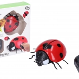 Coccinella gigante RC a radiocomando 9 cm - confezione in ceco
