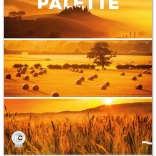 Calendario da parete Paleta 2026