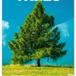 Notique calendario da parete Alberi 2026