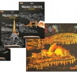 ARTLOVER immagine da grattare dorata – vista notturna sull'Opera di Sydney