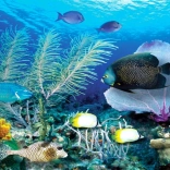 Pittura diamantata Oceano 80x40 cm