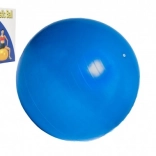 Palla ginnica 75 cm per riabilitazione e allenamento a casa