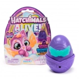 Hatchimals Arcobaleno al Neon