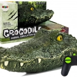 Testa di coccodrillo Barca radiocomandata 2.4G Raggio 50 m