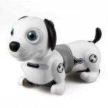Cane robotico interattivo Dackel con luci e palla intelligente