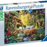 Puzzle 1500 pezzi Tigri tranquille RAVENSBURGER