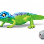 Lucertola RC radiocomandata 35 cm