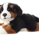 Cane da montagna bernese di peluche 25 cm