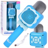 Microfono karaoke wireless per bambini con Bluetooth e registrazione – Rosa